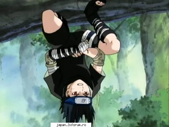 fan gallery tare....