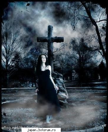 anunt: inteleg loomea cam tras concluzii pt. cica n-am mai intrat rog zic intru tot timpul doar timp