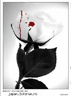 film v-a plaqt cel mai mult? care film v-a lasat gura cascata? ajtept rasp imi plak toate horror, Angel Of Death-Admin