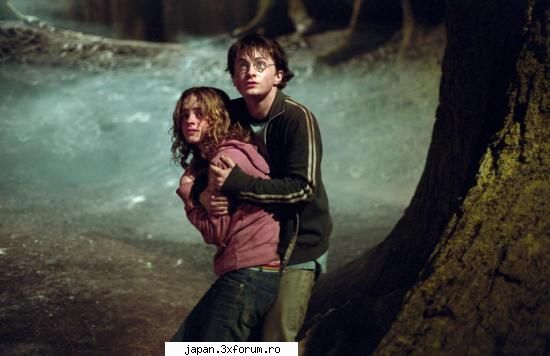 Care film ku Harry Potter va place mai mult? - Cre film cu Harry va place mai mult?mie-mi - Harry Potter