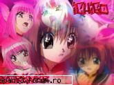 Poze super misto - kaleidostar_girl - Tokyo Mew mew