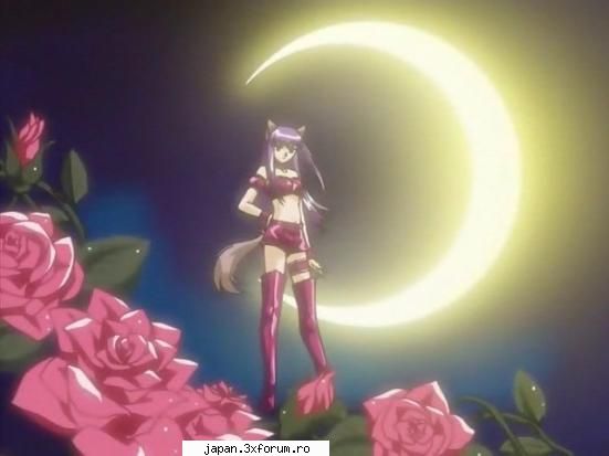 Poze super misto - kaleidostar_girl - Tokyo Mew mew