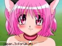 Poze super misto - kaleidostar_girl - Tokyo Mew mew